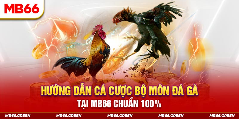 sun20 kết quả xổ số miền bắc ngày hôm nay