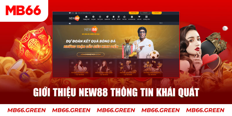 sun20 c1 gà chọi