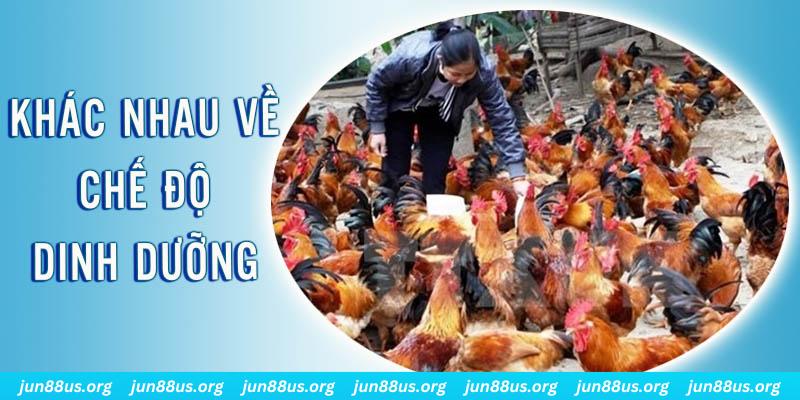 sun20 đăng nhập roulette hôm nay