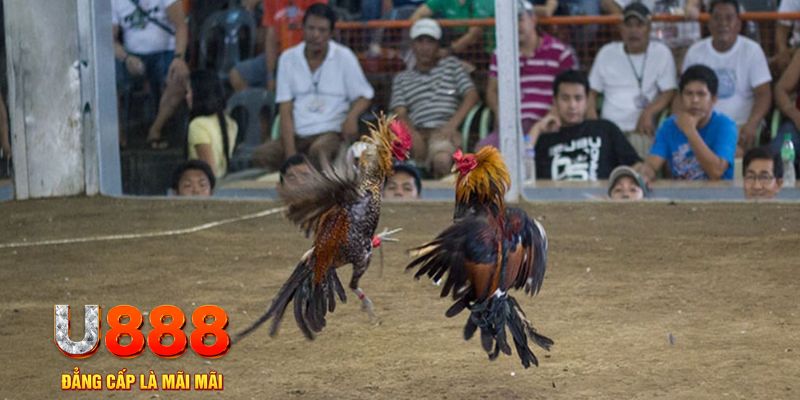 sun20 đăng nhập mậu binh khuyến mãi