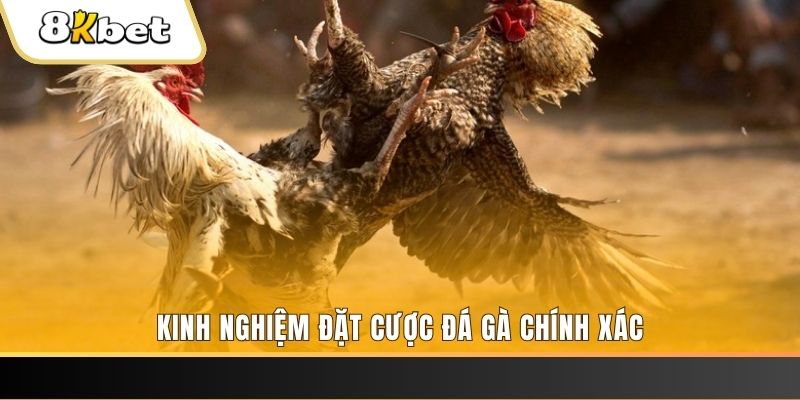 sun20 xổ số thứ bảy hàng tuần