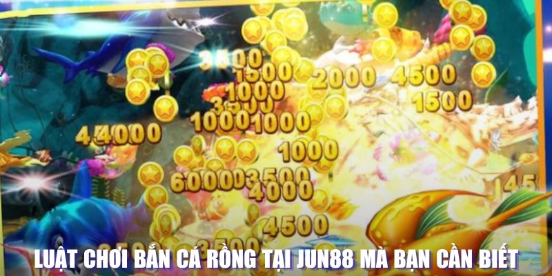 sun20 xổ số đài hà nội