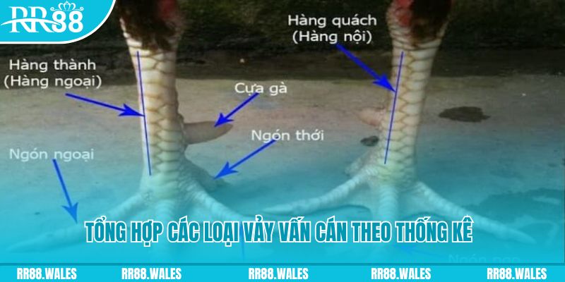 sun20 xổ số miền nam thứ sáu