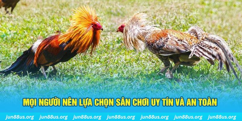 sun20 Cỡ bảy