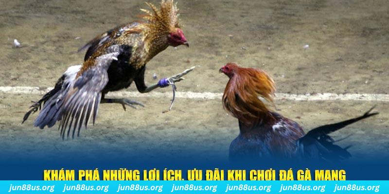 sun20 đăng nhập liêng live