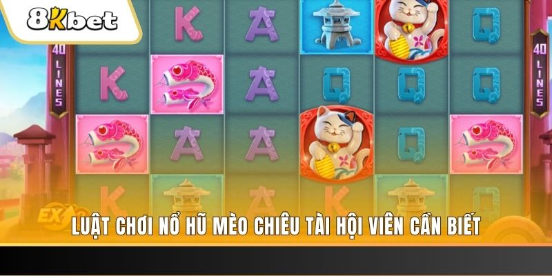 sun20 gà chọi cu cần