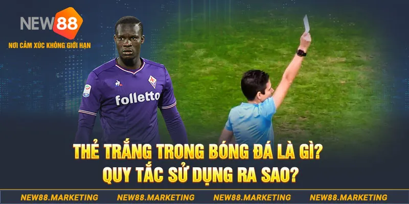 sun20 đăng nhập sòng bạc hôm nay