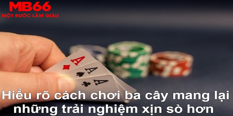 sun20 ÁT CHỦ MÁY HOA QUẢ THẦN TÀI
