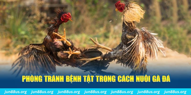 sun20 Bài Poker Bonus