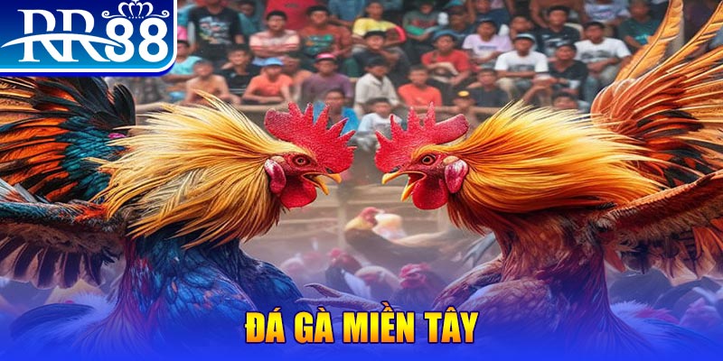 sun20 người chia bài trong casino gọi là gì