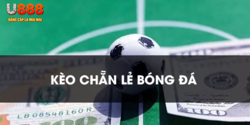 sun20 gà chọi c1.tv